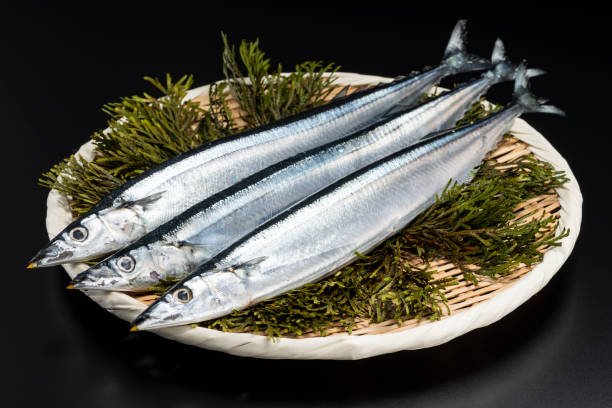 pacific saury on table.